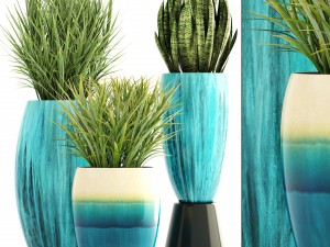 collection plants 3D मॉडल