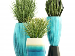 collection plants Modelo 3D