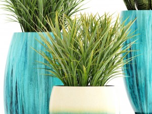 collection plants Modelo 3D