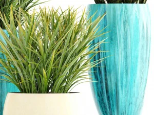 collection plants 3D Model