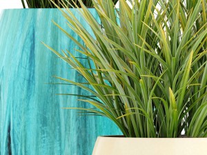 collection plants Modelo 3D