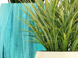 collection plants 3D Model