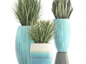 collection plants 3D Model