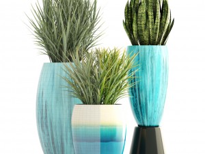 collection plants Modelo 3D