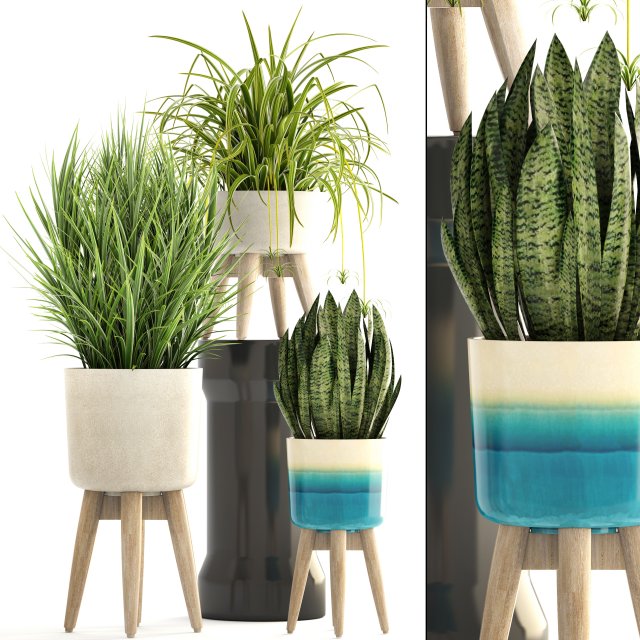 collection plants Modello 3D .c4d .max .obj .3ds .fbx .stl .blend 