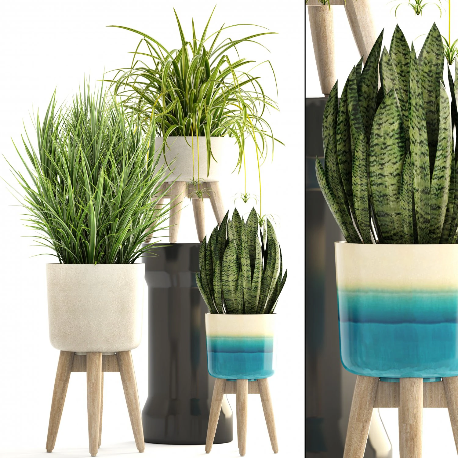 collection plants 3D Model .c4d .max .obj .3ds .fbx .stl .blend
