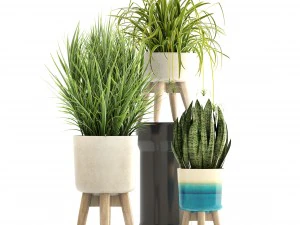 collection plants 3D Model