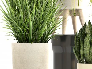 collection plants 3D Model