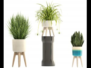 collection plants 3D Model