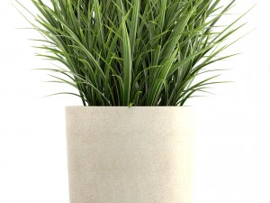 collection plants 3D Model