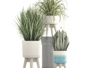 collection plants 3D Model