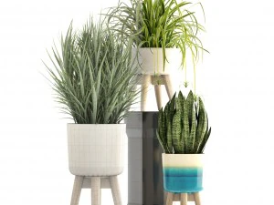collection plants 3D Model