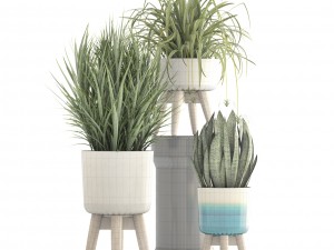 collection plants Modello 3D