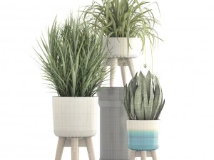 collection plants 3D Model
