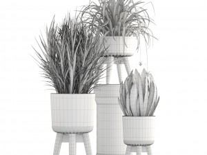 collection plants Modello 3D