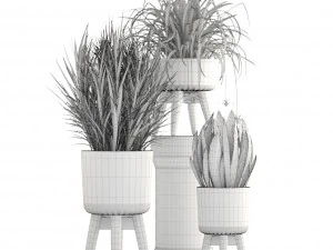collection plants 3D Model