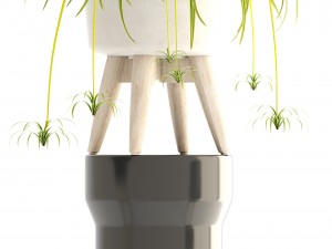 collection plants Modello 3D