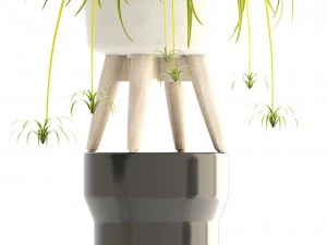 collection plants 3D Model
