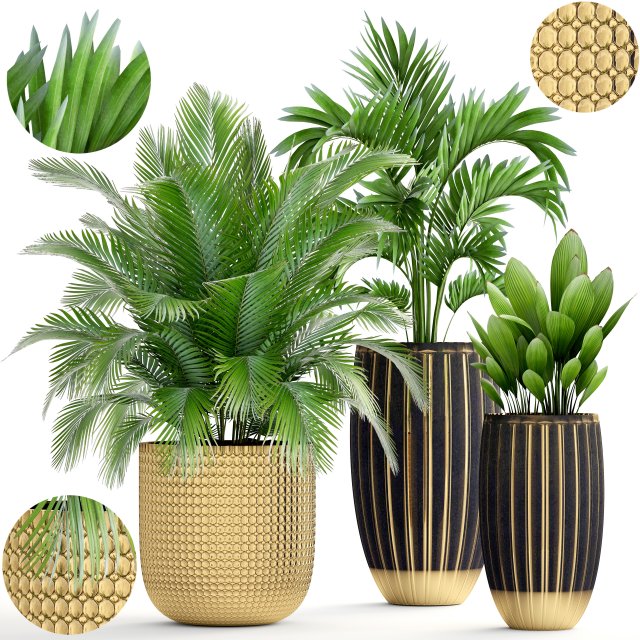 collection plants 3D Model .c4d .max .obj .3ds .fbx .stl .blend 