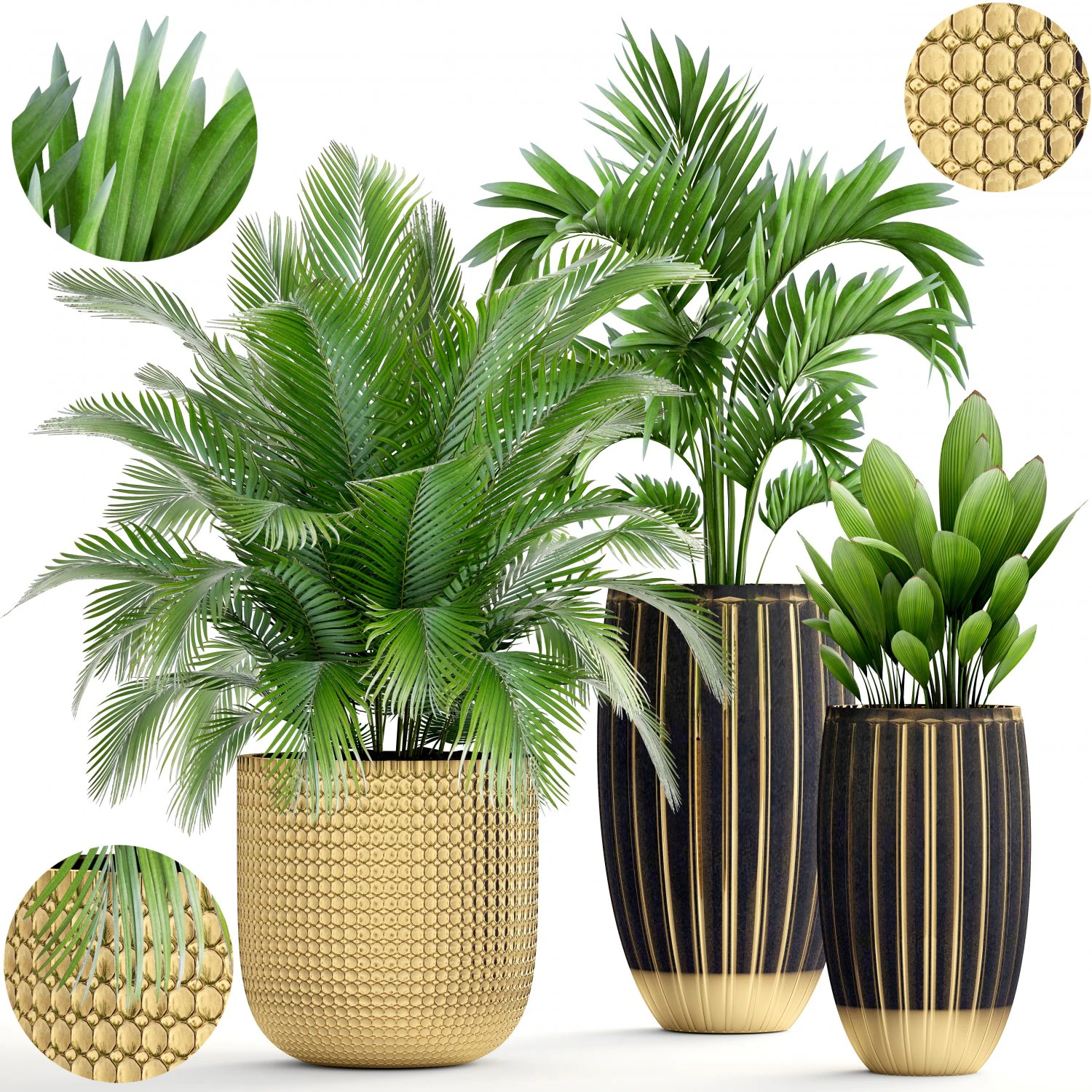 collection plants 3D Model .c4d .max .obj .3ds .fbx .stl .blend