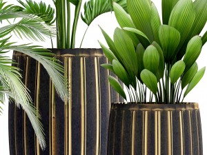 collection plants 3D Model