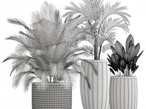 collection plants 3D Model