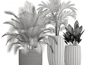 collection plants 3D Model