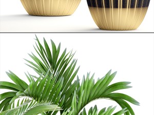 collection plants 3D Model