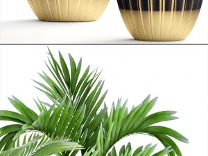 collection plants 3D Model