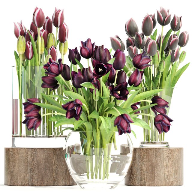 bouquet of tulips 3 pieces 3D Model .c4d .max .obj .3ds .fbx .stl .blend 