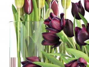 bouquet of tulips 3 pieces 3D Model