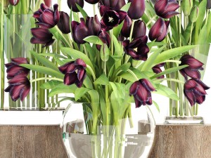 bouquet of tulips 3 pieces 3D Model