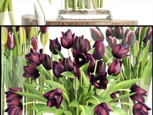 bouquet of tulips 3 pieces 3D Model