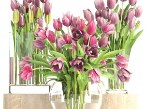 bouquet of tulips 3 pieces 3D Model