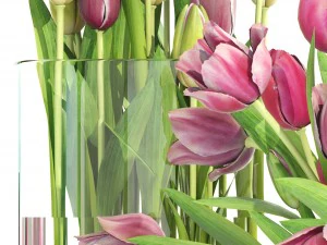 bouquet of tulips 3 pieces 3D Model