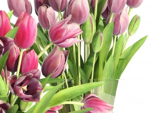 bouquet of tulips 3 pieces 3D Model