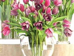 bouquet of tulips 3 pieces 3D Modell