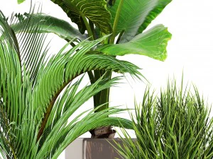 collection plants 3D Model