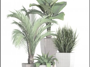 collection plants 3D Модель