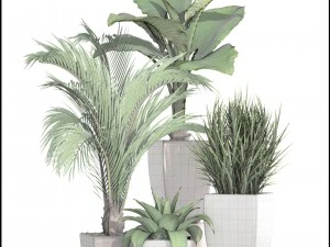collection plants 3D Model