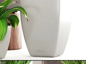 collection plants 3D Model