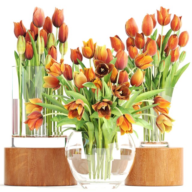 bouquet of tulips set 3D मॉडल .c4d .max .obj .3ds .fbx .stl .blend 