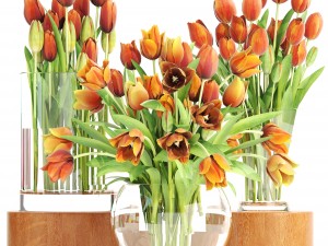 bouquet of tulips set 3D Model