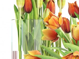 bouquet of tulips set 3D मॉडल
