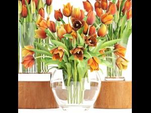 bouquet of tulips set 3D मॉडल