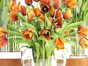 bouquet of tulips set 3D मॉडल