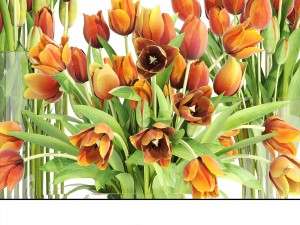bouquet of tulips set 3D मॉडल