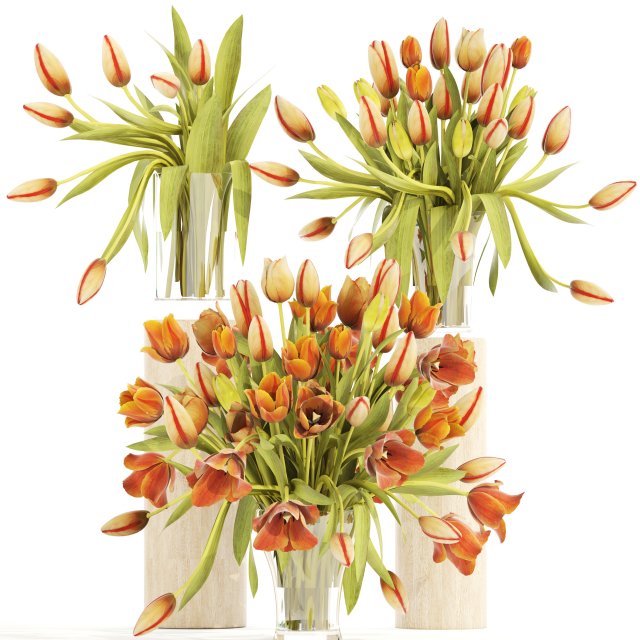 bouquet of tulips set 3D Model .c4d .max .obj .3ds .fbx .stl .blend 