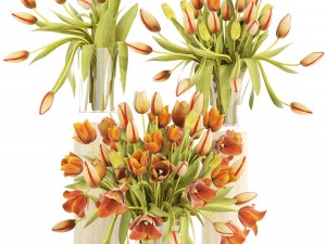 bouquet of tulips set 3D Model
