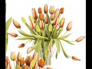 bouquet of tulips set 3D Model